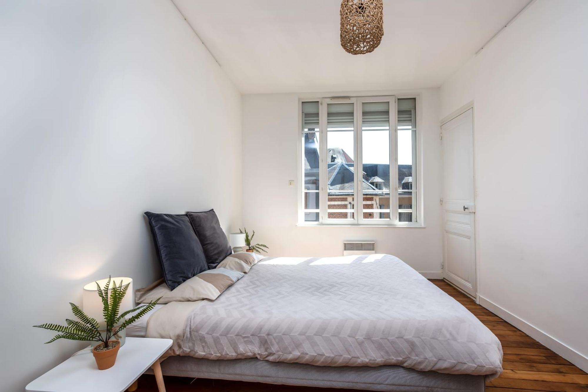 Le Jacobin / 1 Chambre - Netflix - Hyper Centre Amiens Kültér fotó