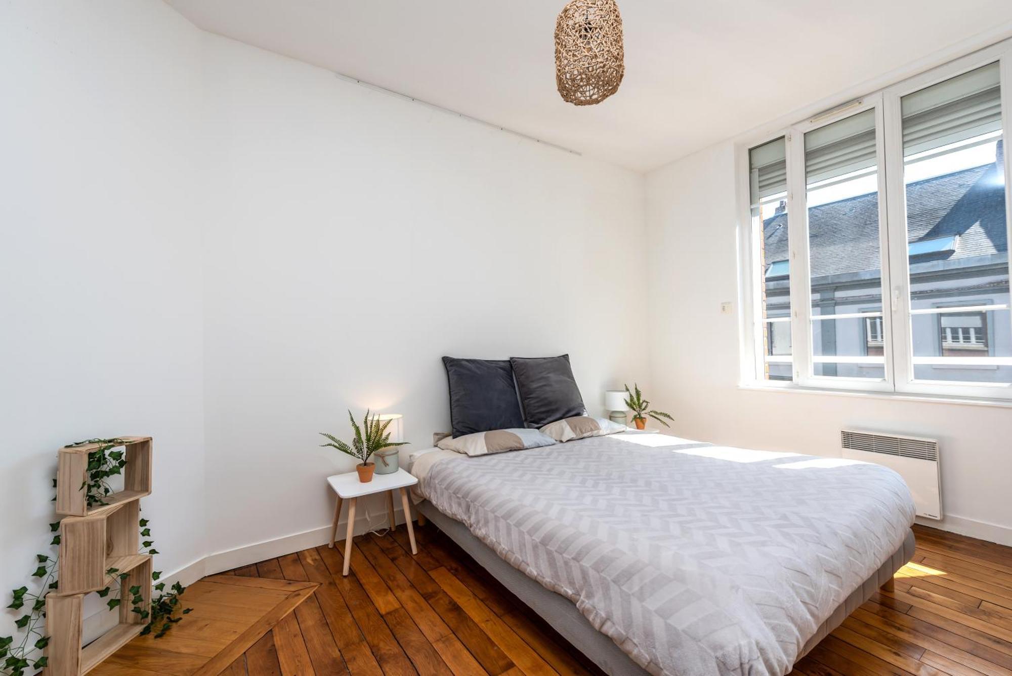 Le Jacobin / 1 Chambre - Netflix - Hyper Centre Amiens Kültér fotó
